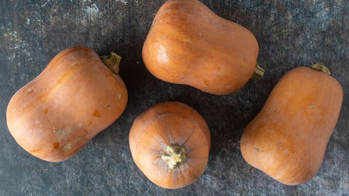 Honeynut squash on dark background.