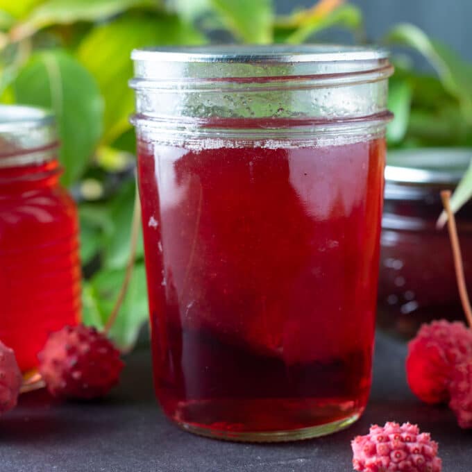 Dogwood Jelly in jars with leaves in the background.