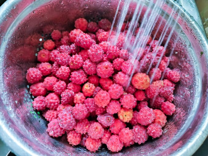 Rinsing off fruit in colander.