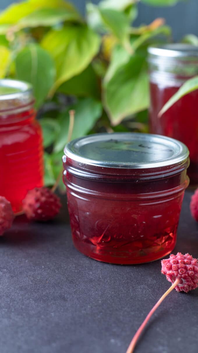 Dogwood jelly with dogwood fruit.
