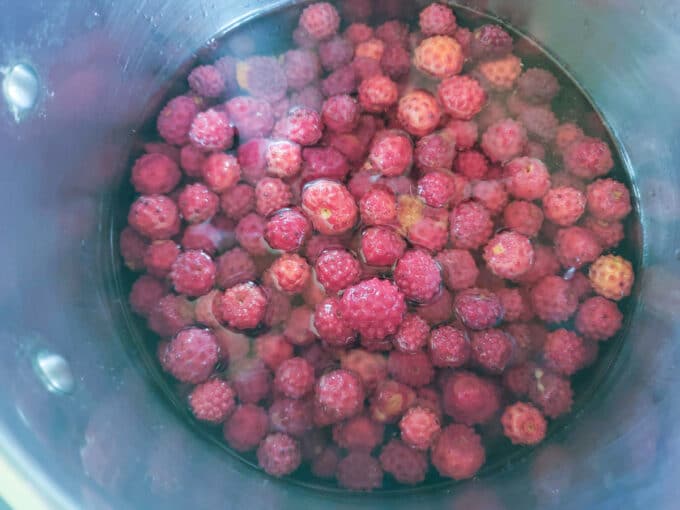 Fruit in a large pot covered with water.