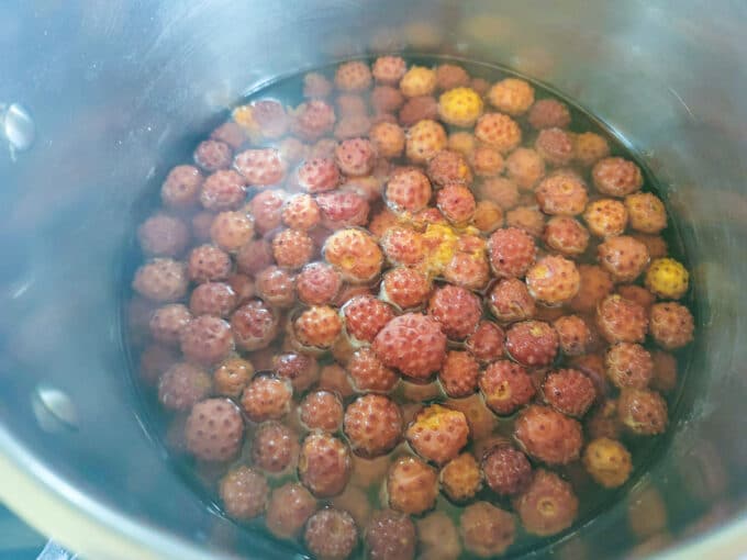 Once cooked, the fruit will bleed most of it's color into the water.