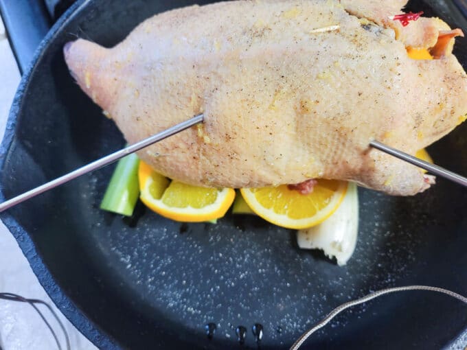 Thermometer probes in the breast meat and thigh meat.