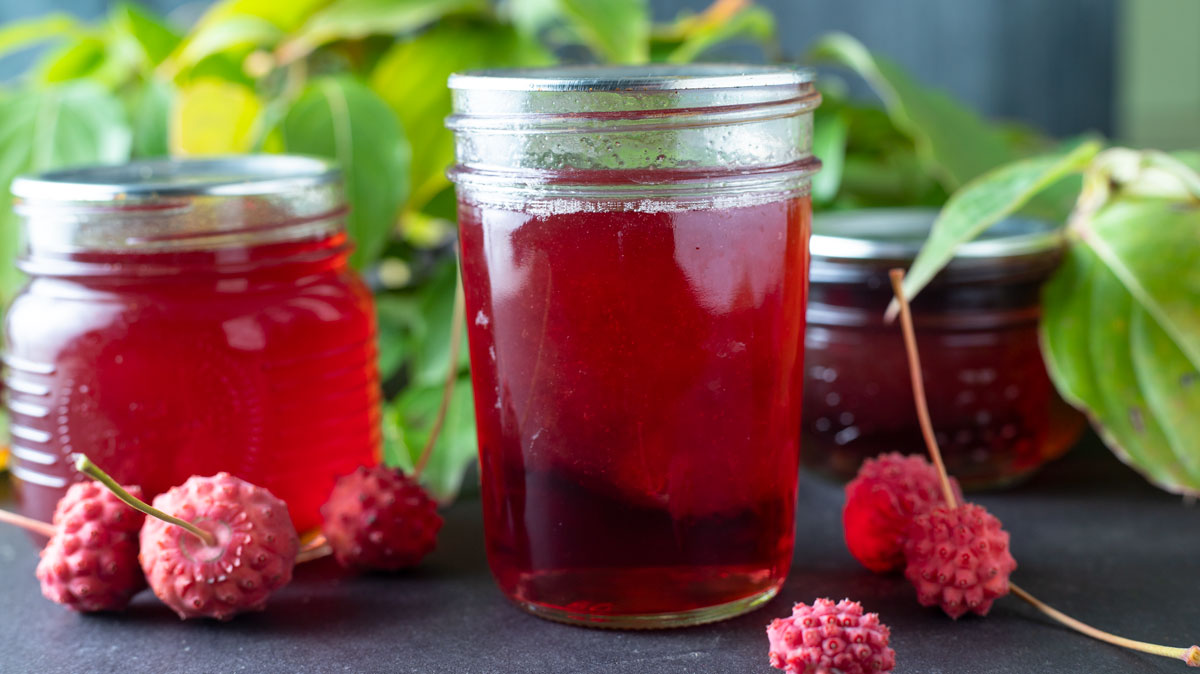 Pink Kousa dogwood jelly in jars.