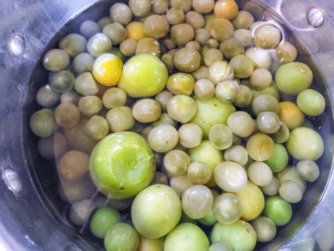 Whole tomatoes in a large pot with water.