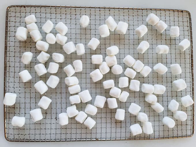 Mini marshmallows arranged on a dehydrator tray.