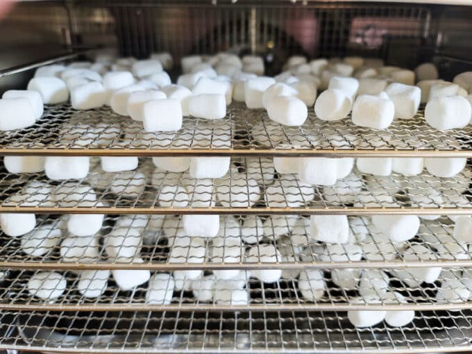 Dehydrator filled with trays of marshmallows.