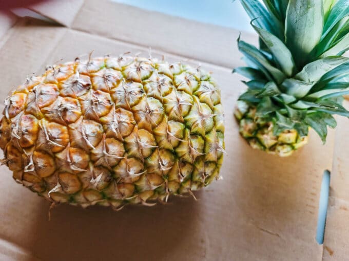 Top sliced of the pineapple.