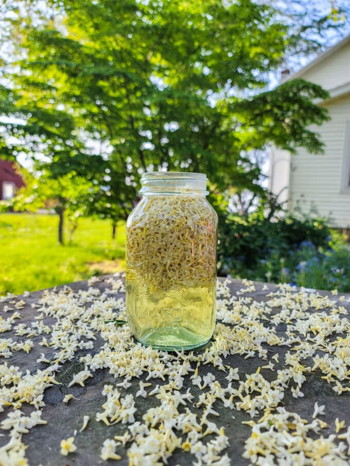 Jar with flowers and water outside on a table.