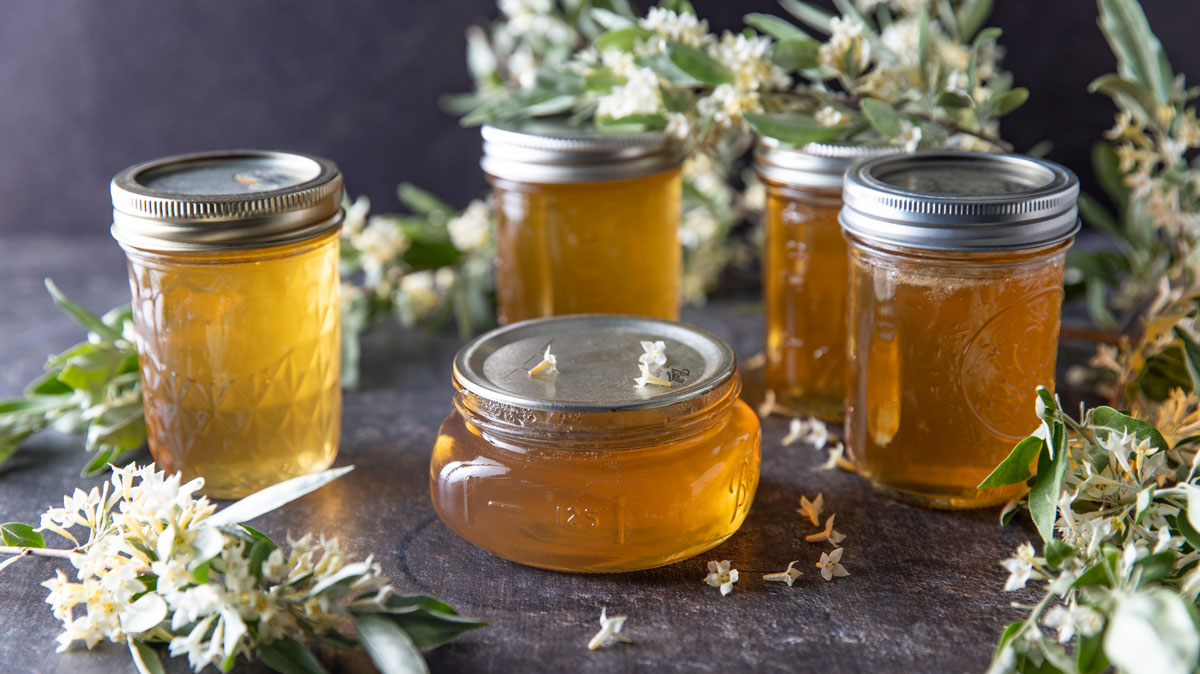 Jelly in jars with branches in the photo.