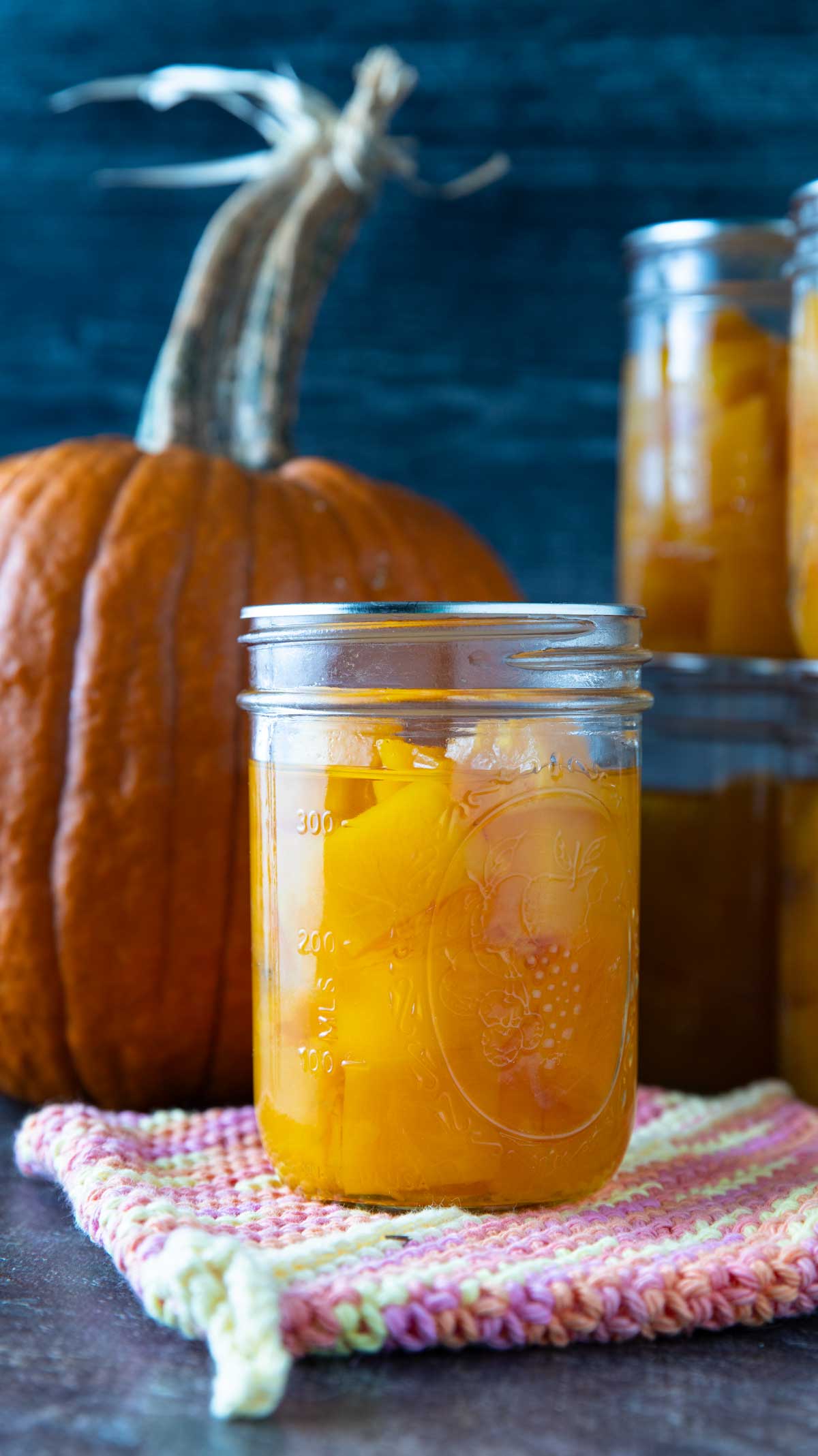 Close of a of canned pumpkin cubes.