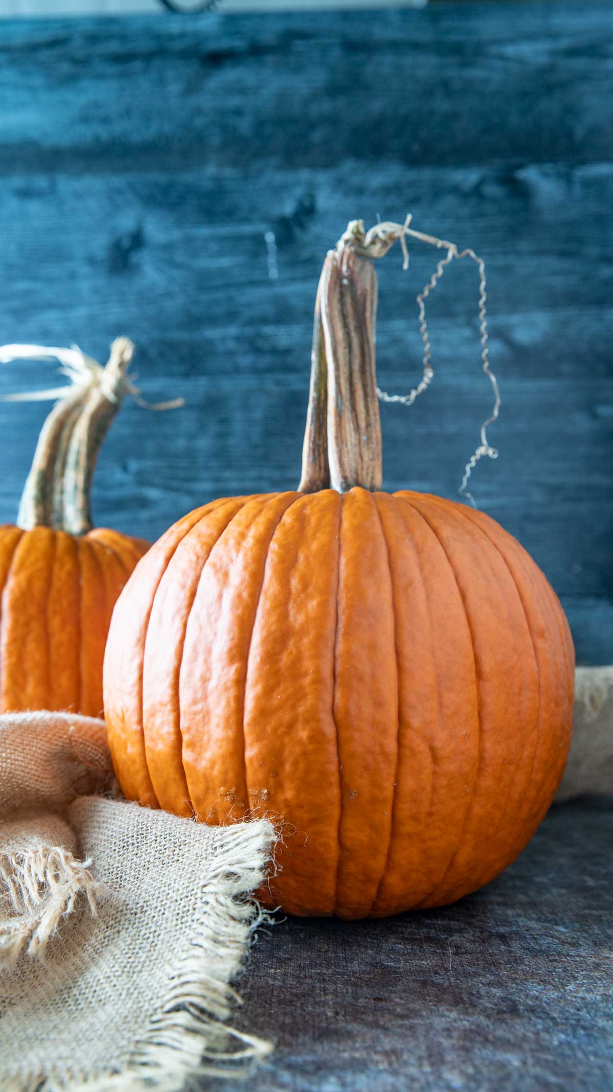 Pumpkins on a black background.