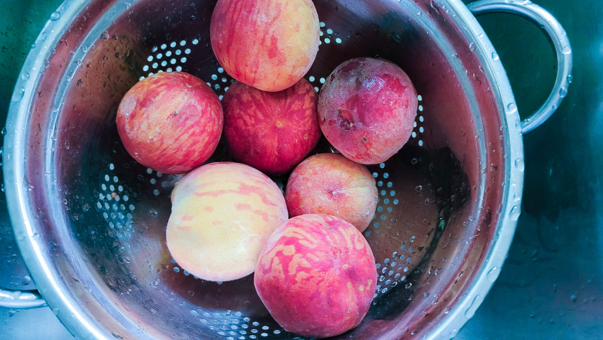 Peaches in a colander.