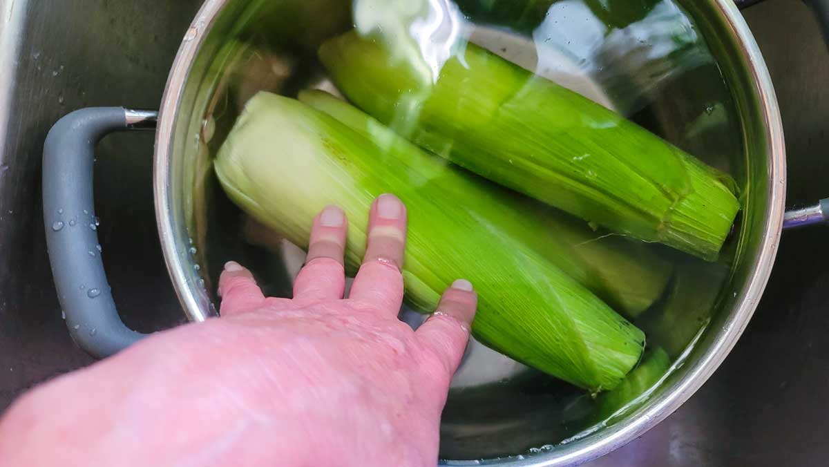 Soaking the corn in a large pot.