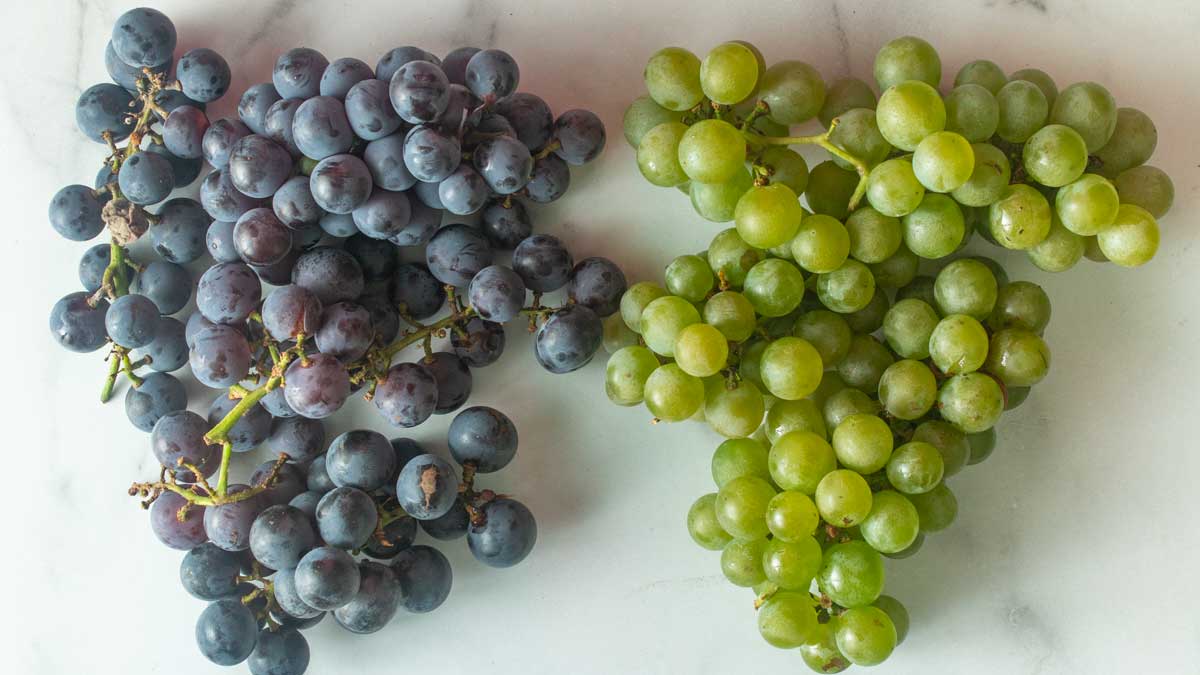 Bunches of white and purple concord grapes.