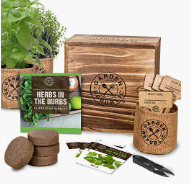 Indoor herb garden set.