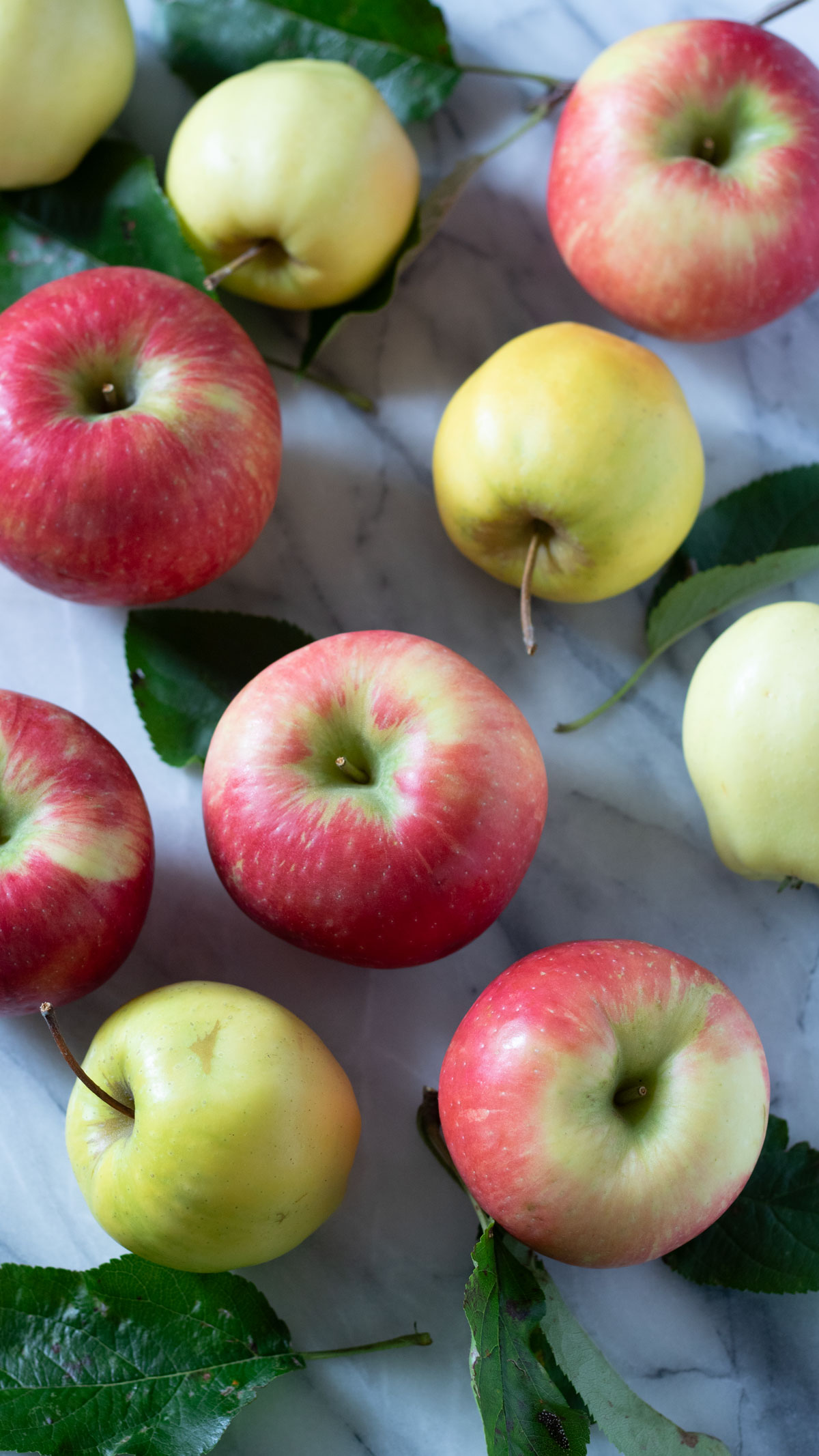 Colorful apples on a marble board.