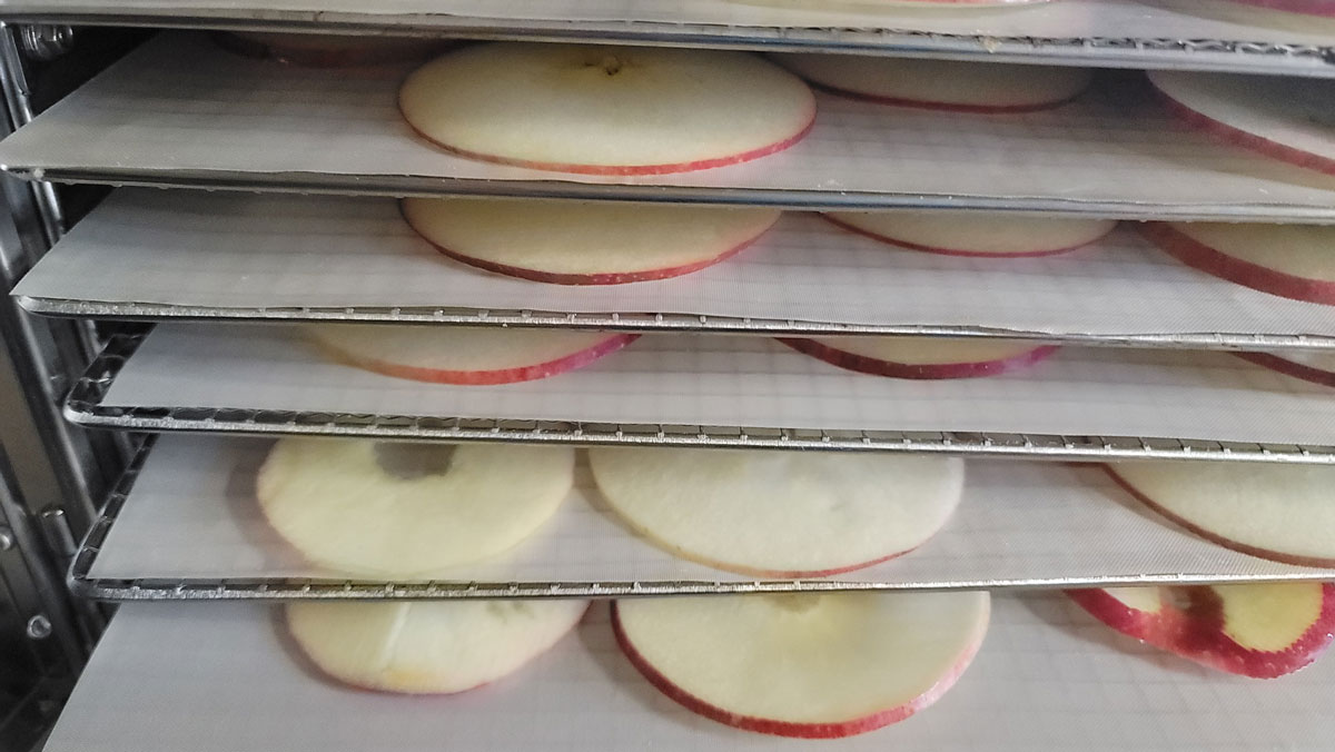 Apples on dehydrator racks in the dehydrator.