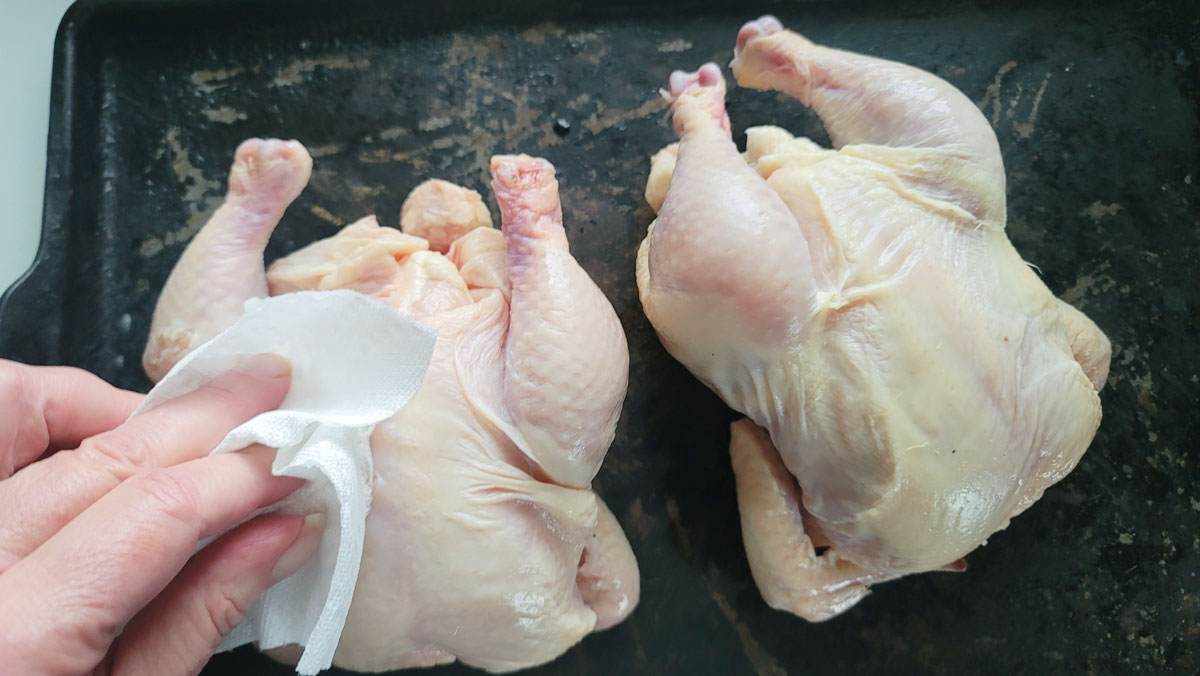 Drying hens with paper towel.
