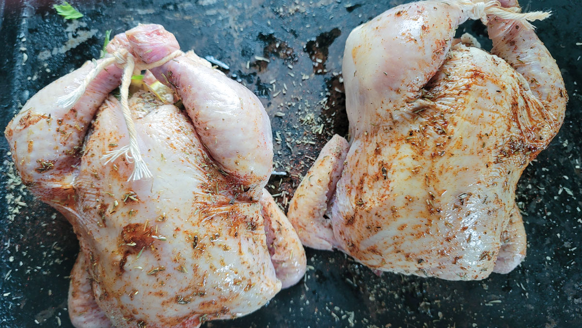 Trussed legs together.