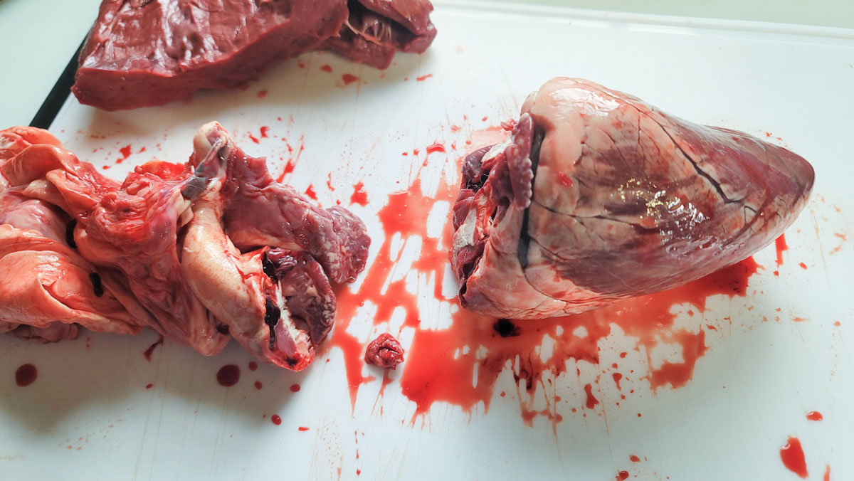 The heart removed from the membrane.