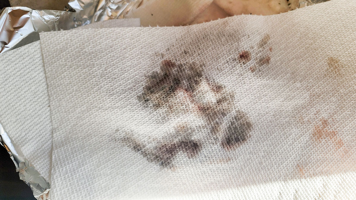 Drying steaks between sheets of paper towel.