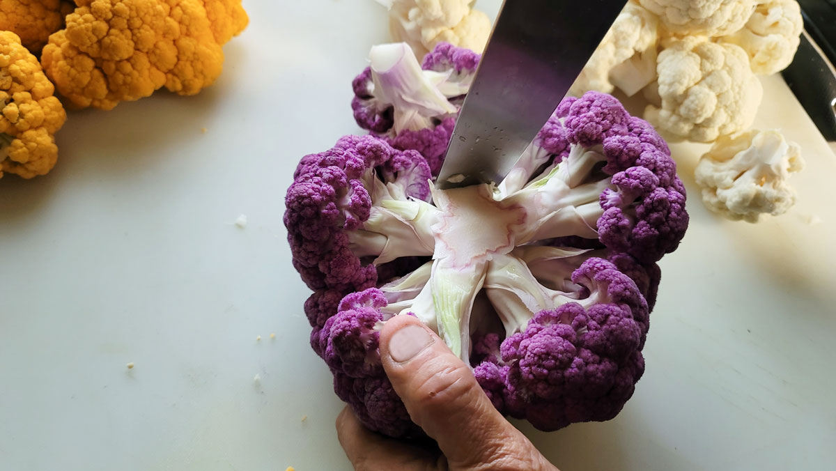 Cutting individual pieces off of a head of caulifower.