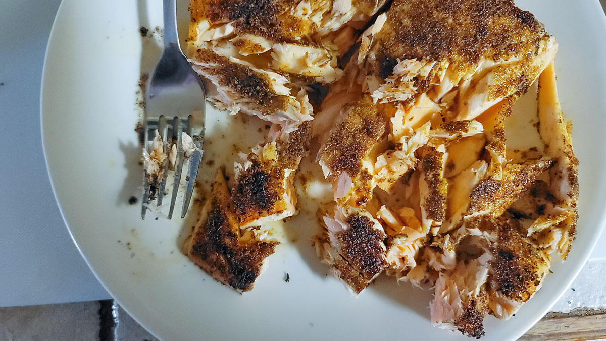 Salmon broken into pieces with a fork.