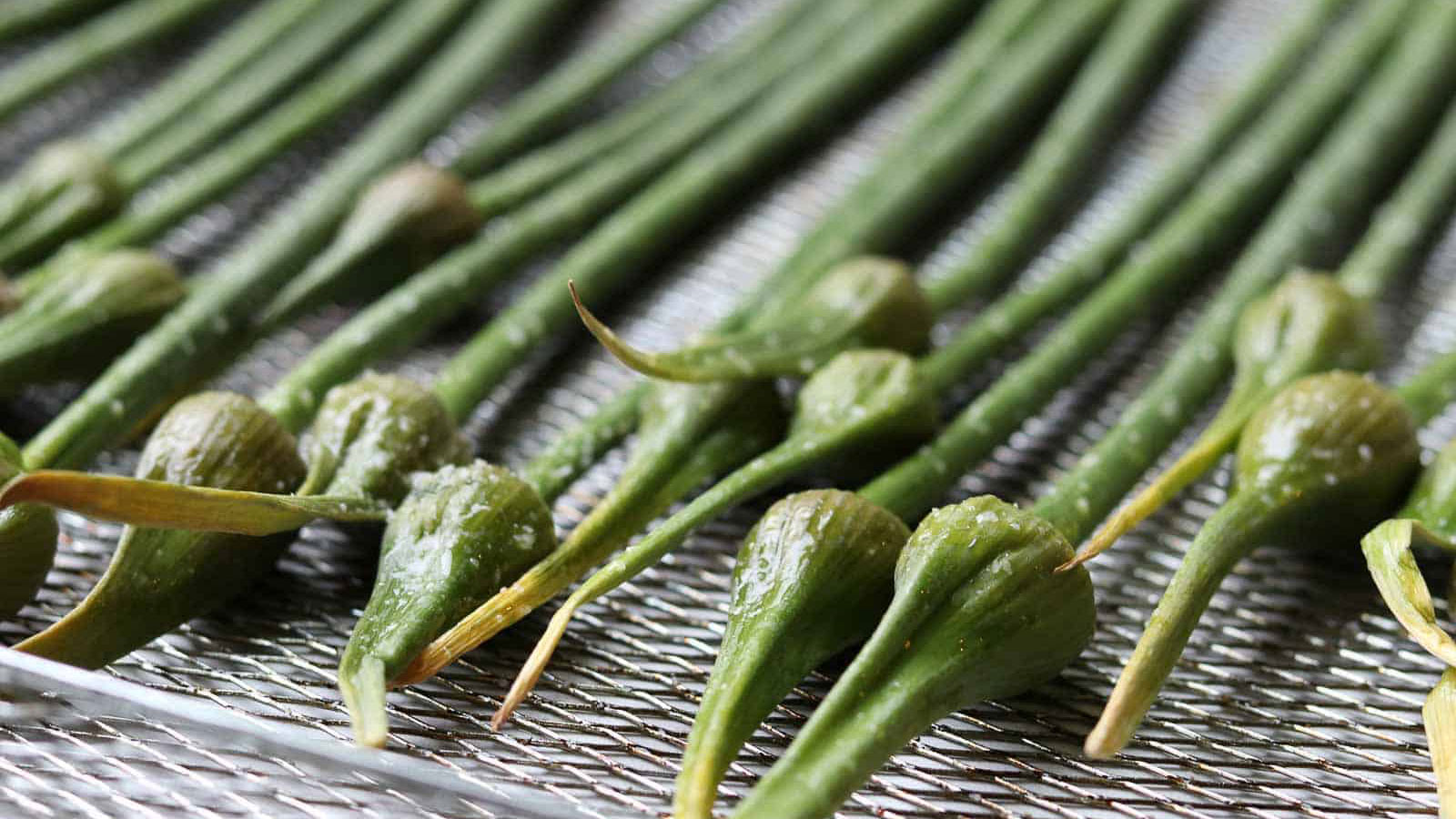 Row of garlic scapes on an air fryer basket.