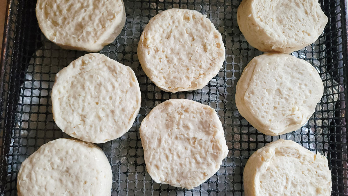 Biscuits placed on air fryer basket.