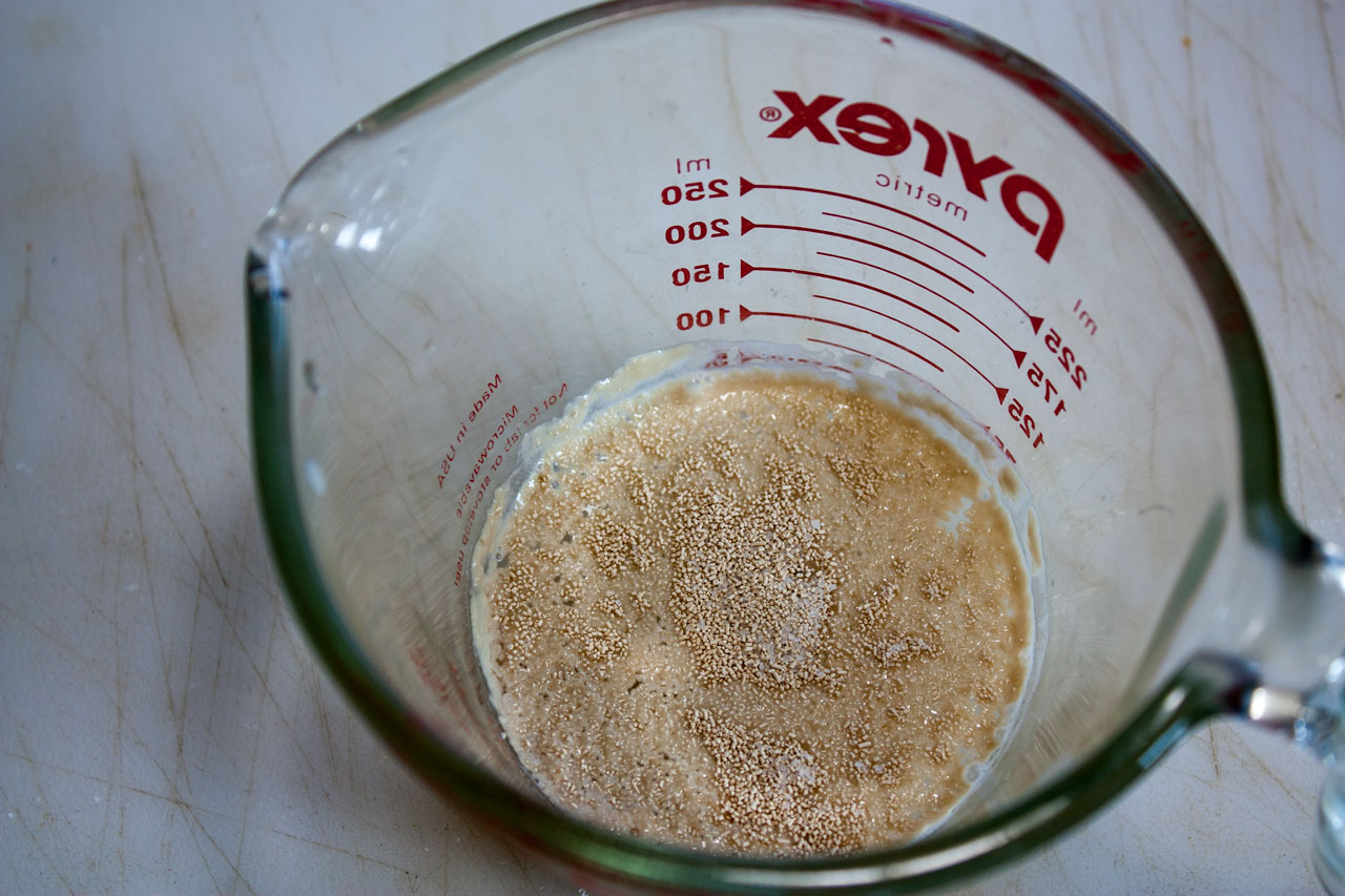 Yeast, water and sugar in a measuring cup.