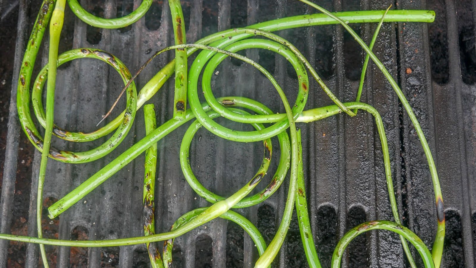 Garlic scapes on the grill grate.