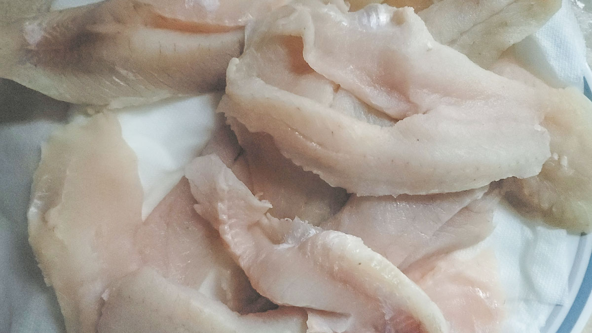 Fish filets on paper towel to dry.