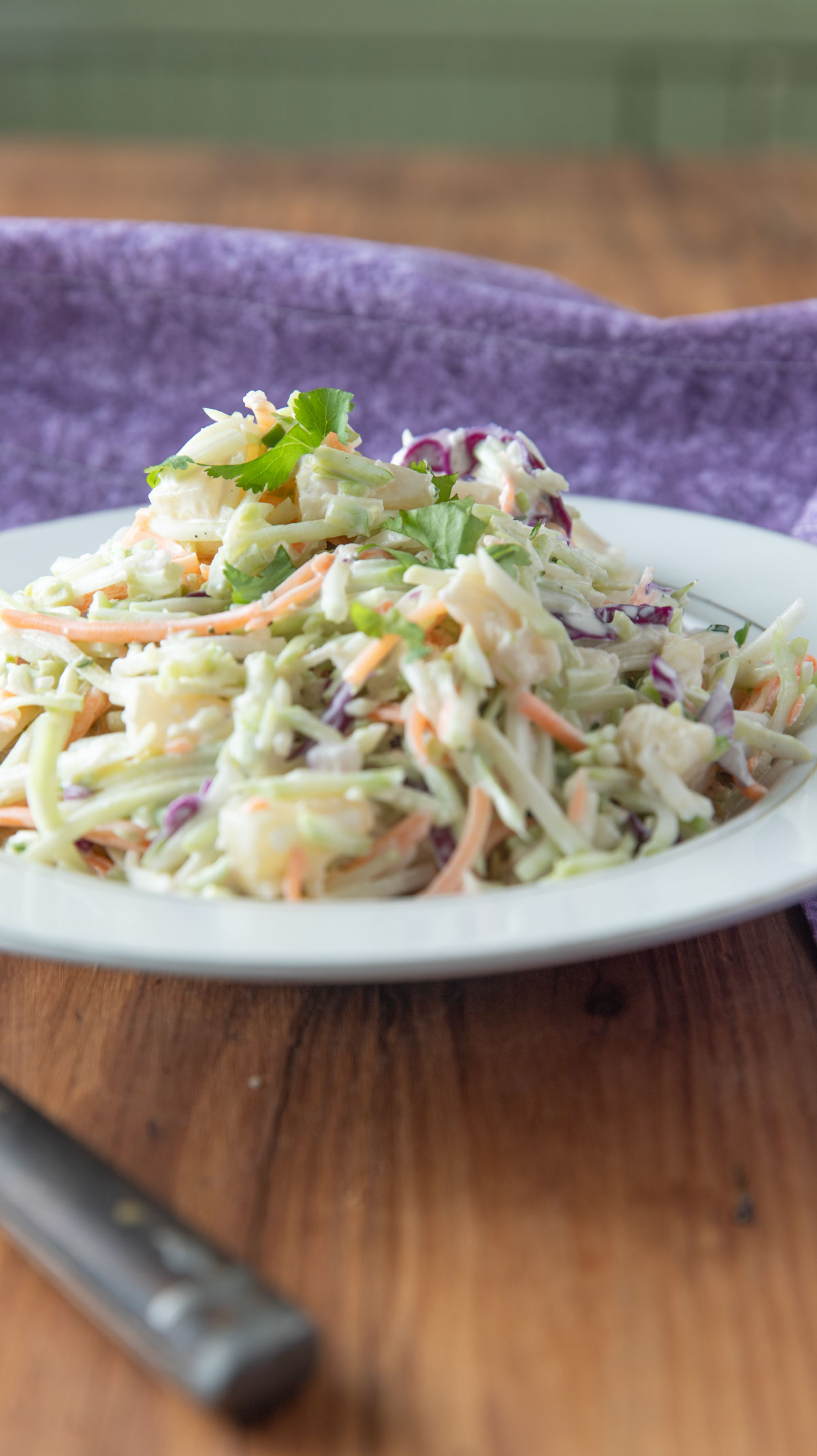 White bowl with coleslaw topped with chopped cilantro.