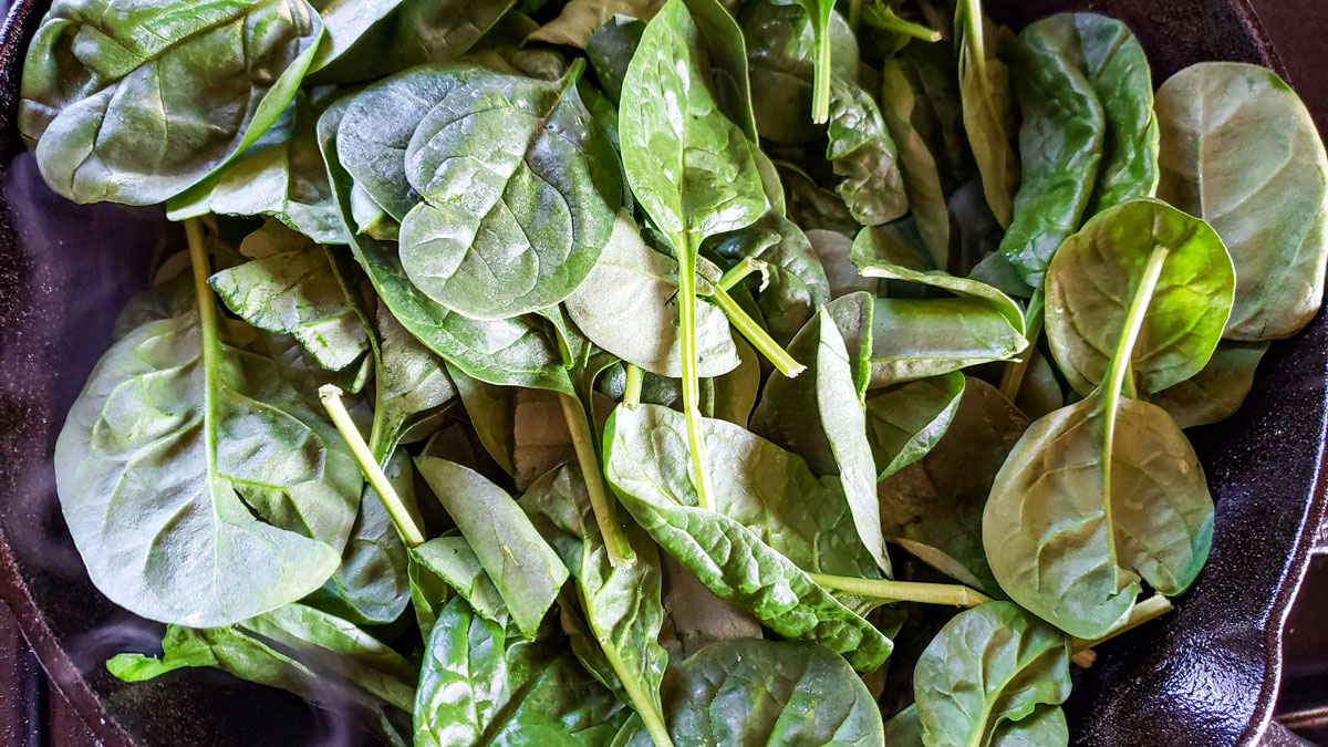 Spinach wilting in a skillet.