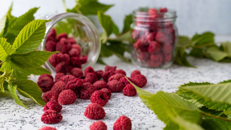 Dehydrated Raspberries on a white board with leaves.
