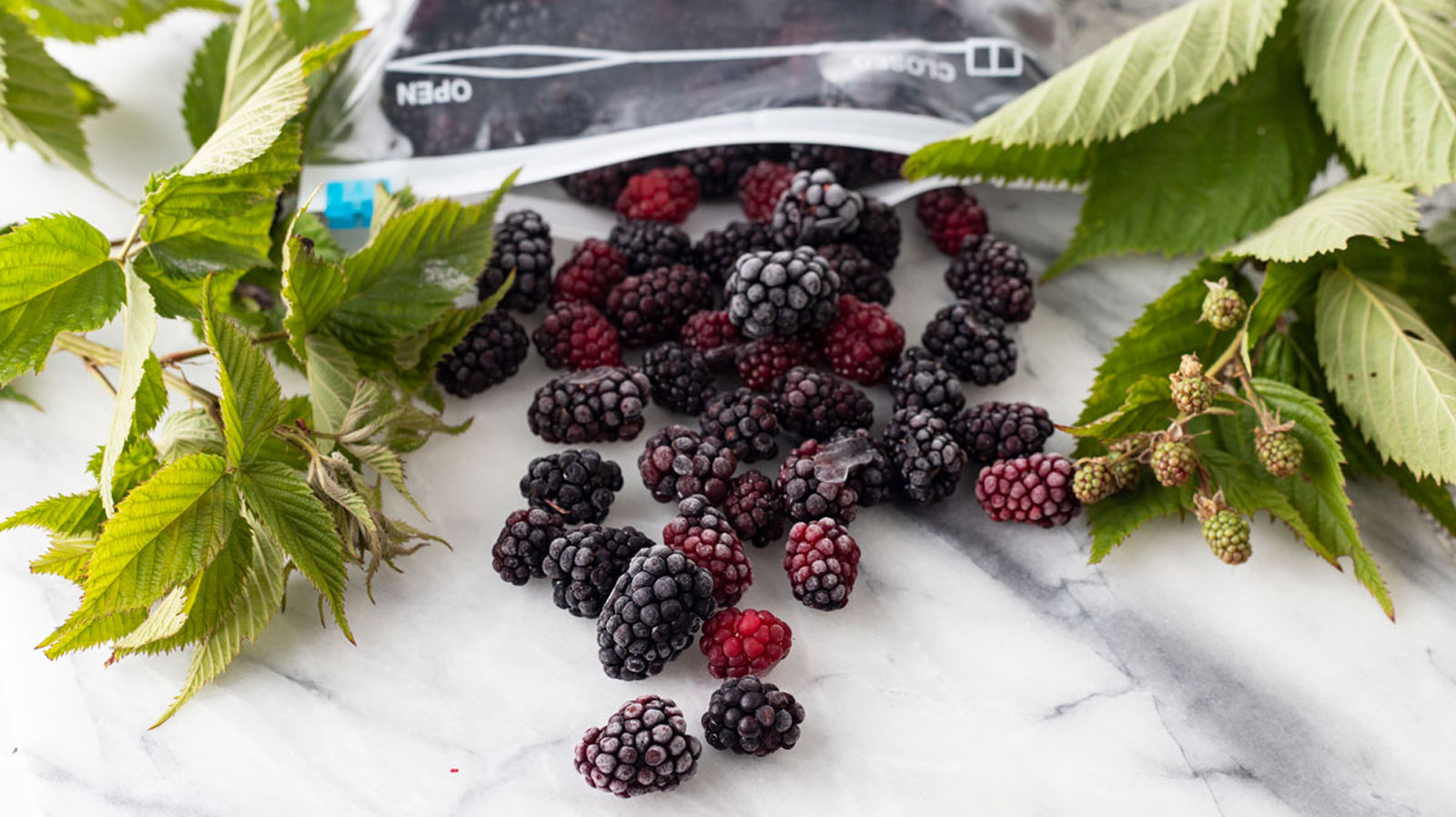 Frozen blackberries spilling out of a freezer bag with fresh blackberry stems on the side.