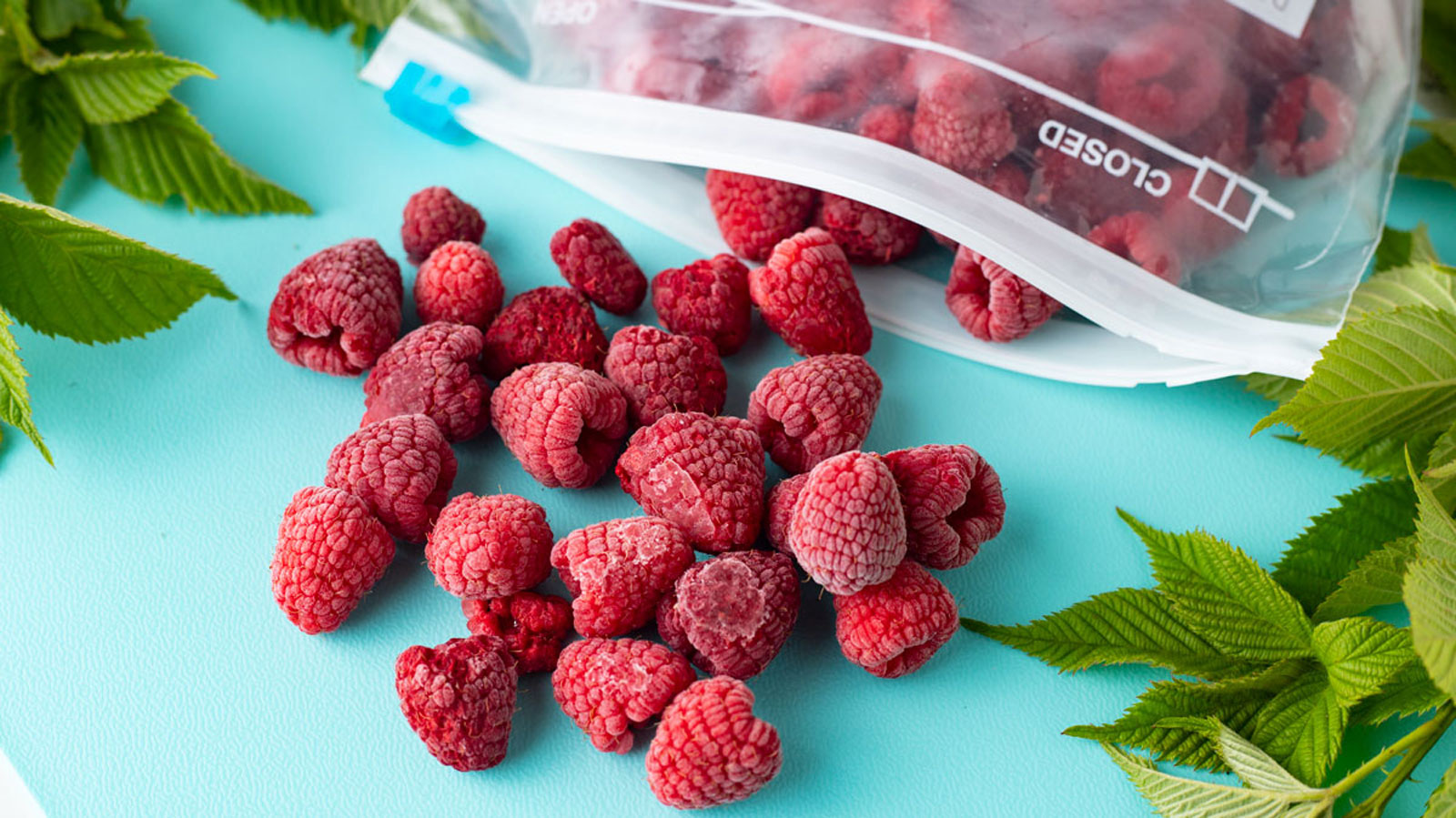 Frozen raspberries on a blue board next to raspberry leaves.