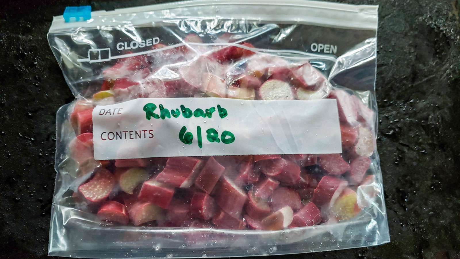 Frozen Rhubarb in freezer bag.