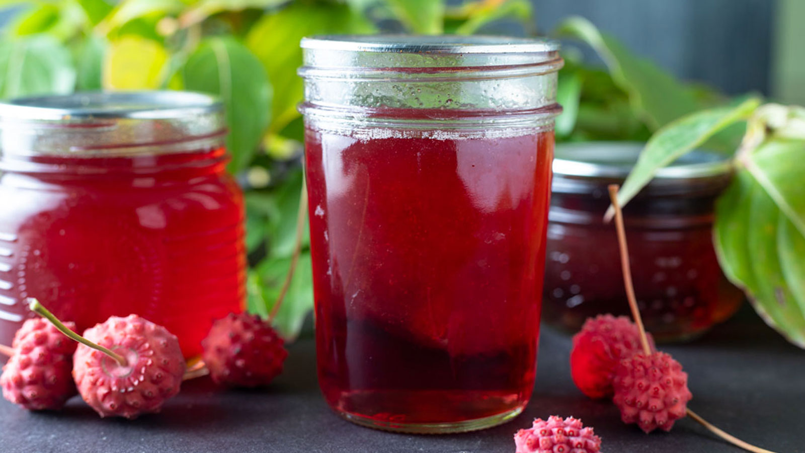 Pink Kousa dogwood jelly in jars.