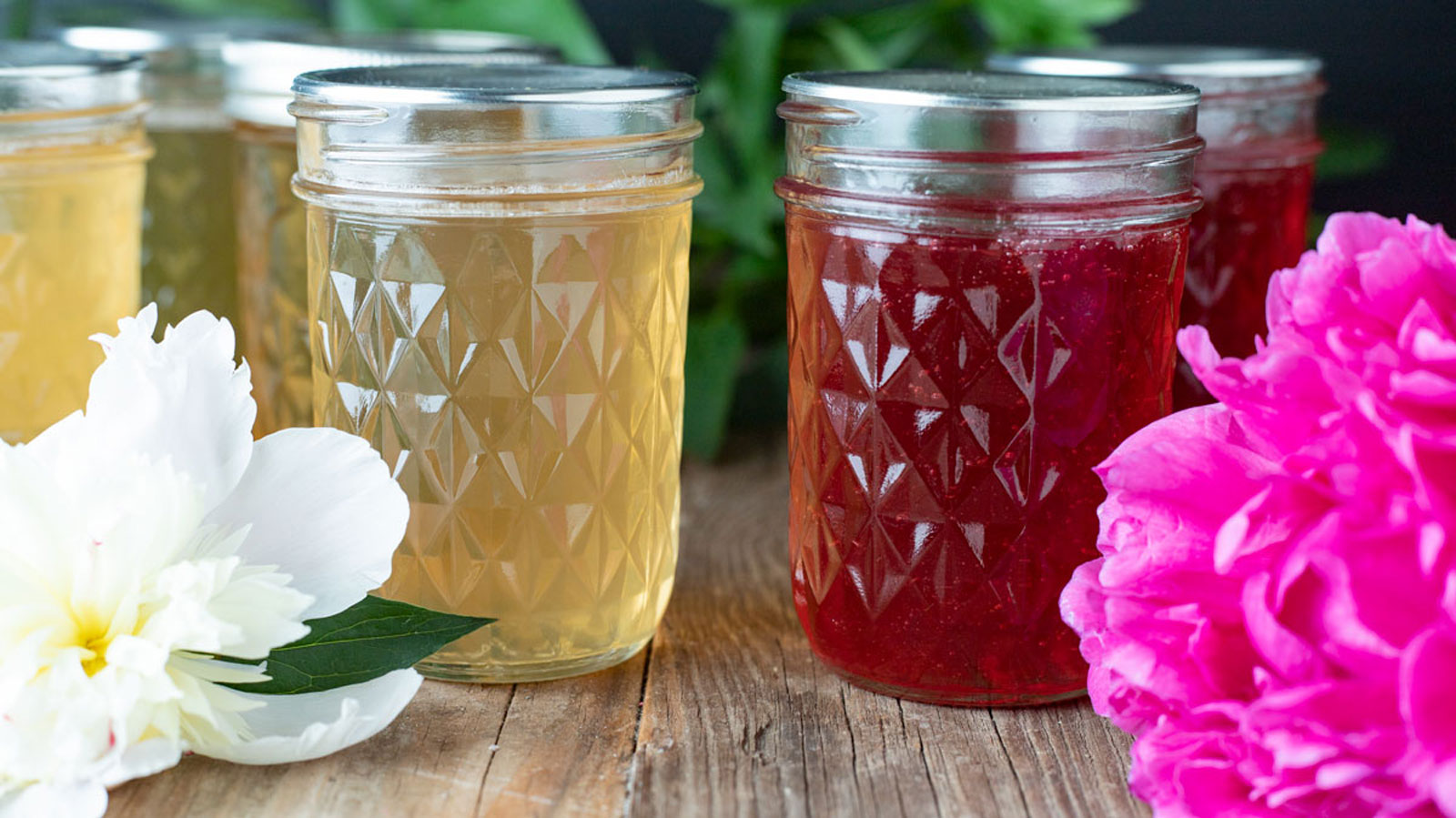 Two jars of peony jelly next to the flower color that they came from.