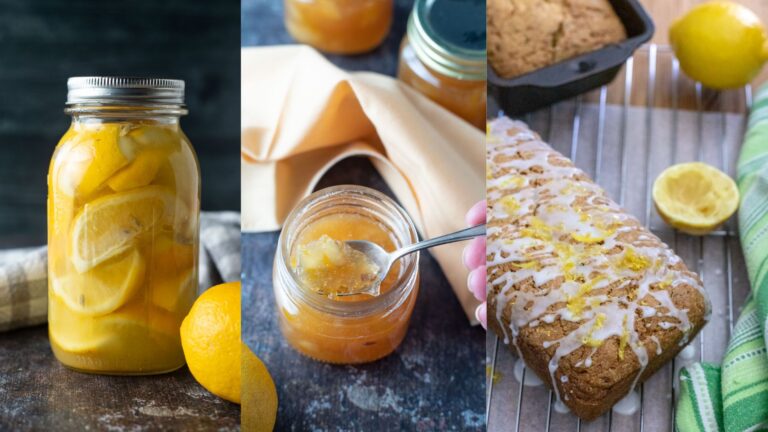 Various citrus creations in a photo collage.