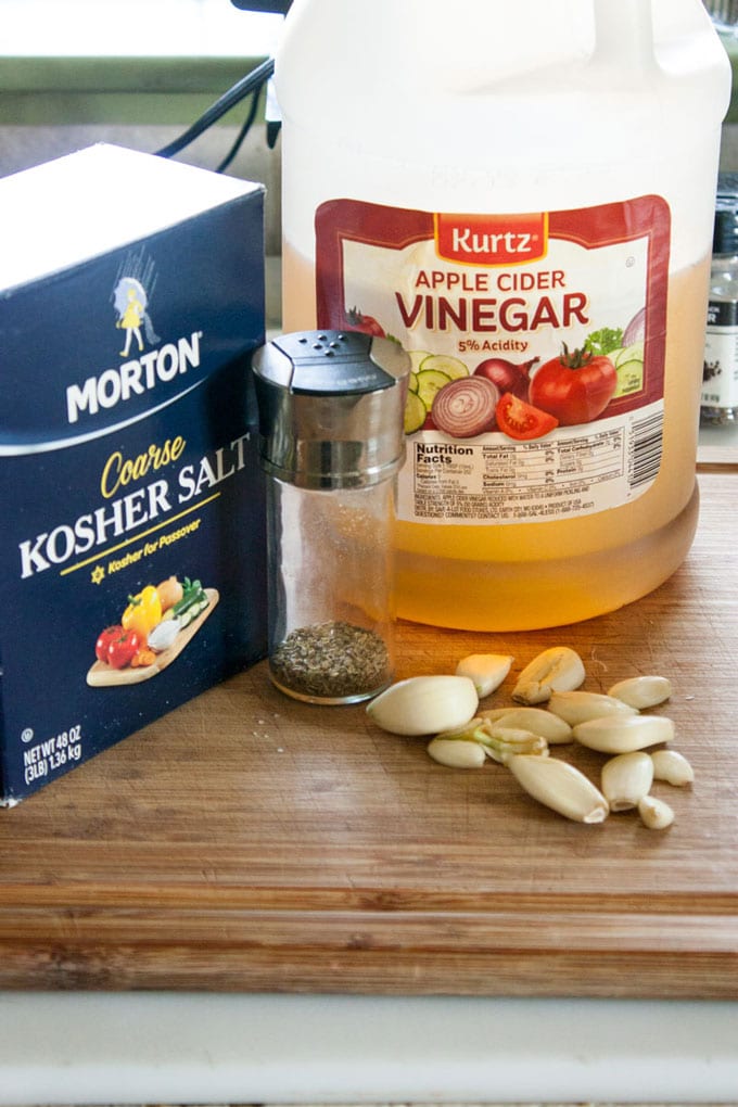 Ingredients; kosher salt, vinegar, oregano, garlic cloves, peppers.