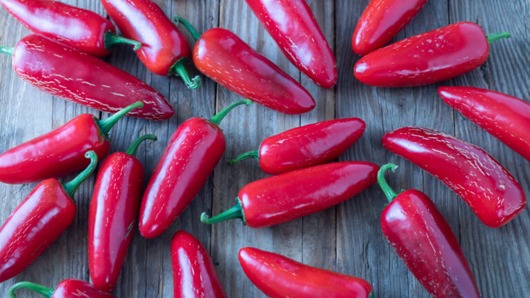 Red, ripe jalapeños on a wooden board.
