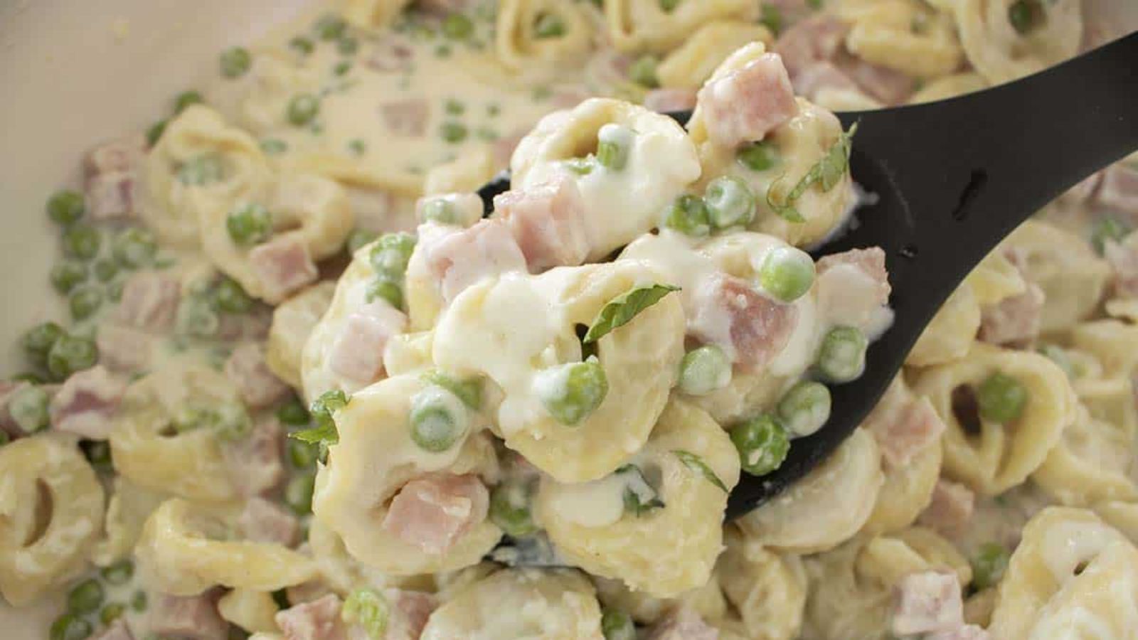 Close up shot of tortellini alla panna.