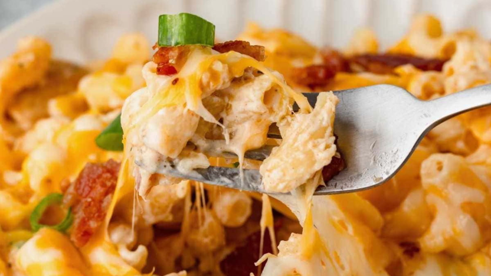 A small portion of chicken casserole.