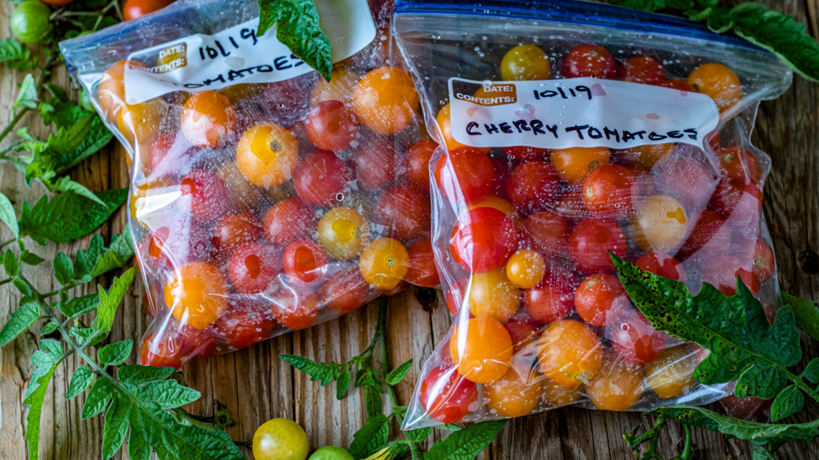 Colorful tomatoes in freezer bag.