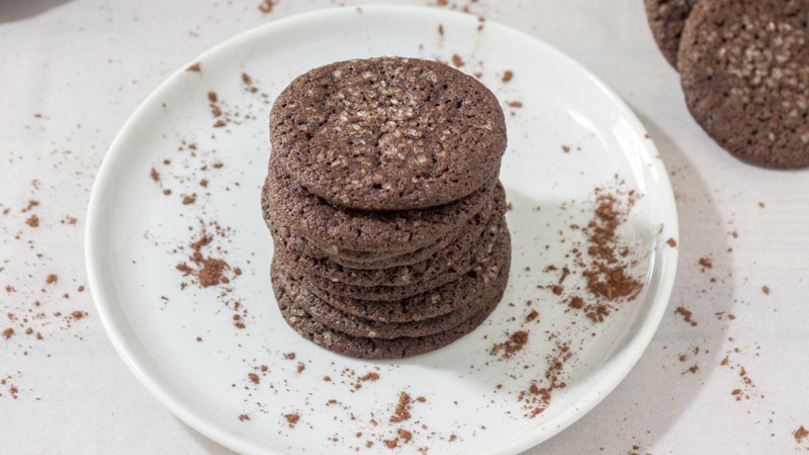 dutch chocolate cookies on white plate sprinkled with cocoa powder