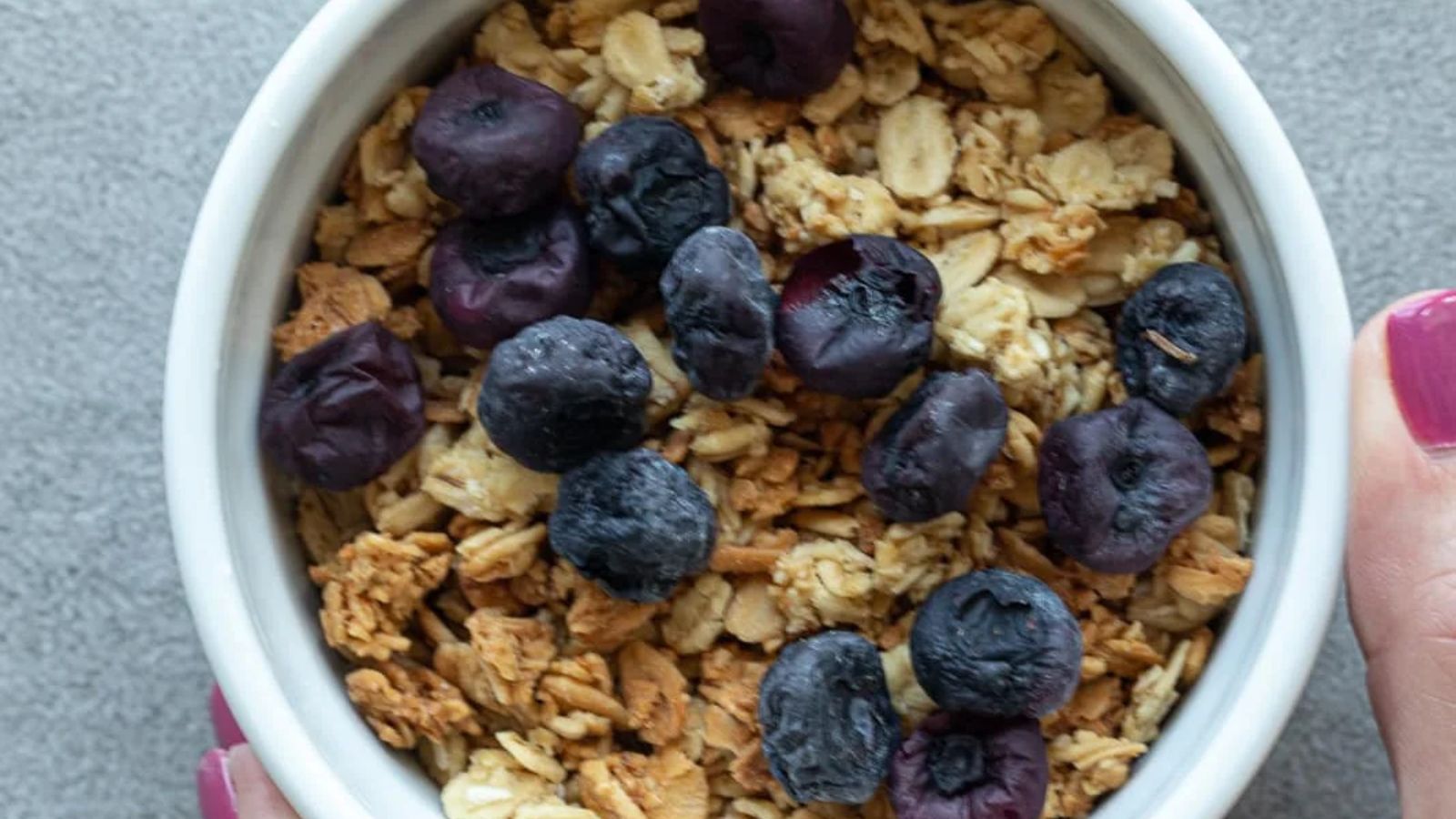 Dehydrated blueberries in a bowl 