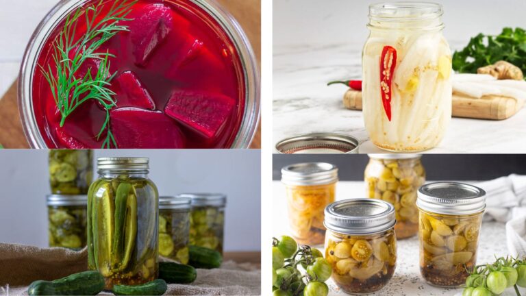 Compilation of pickle images.